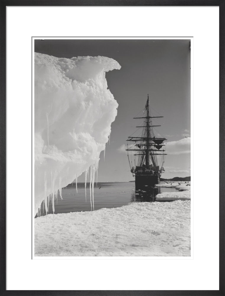 The Terra Nova and a berg at ice-foot - Art print