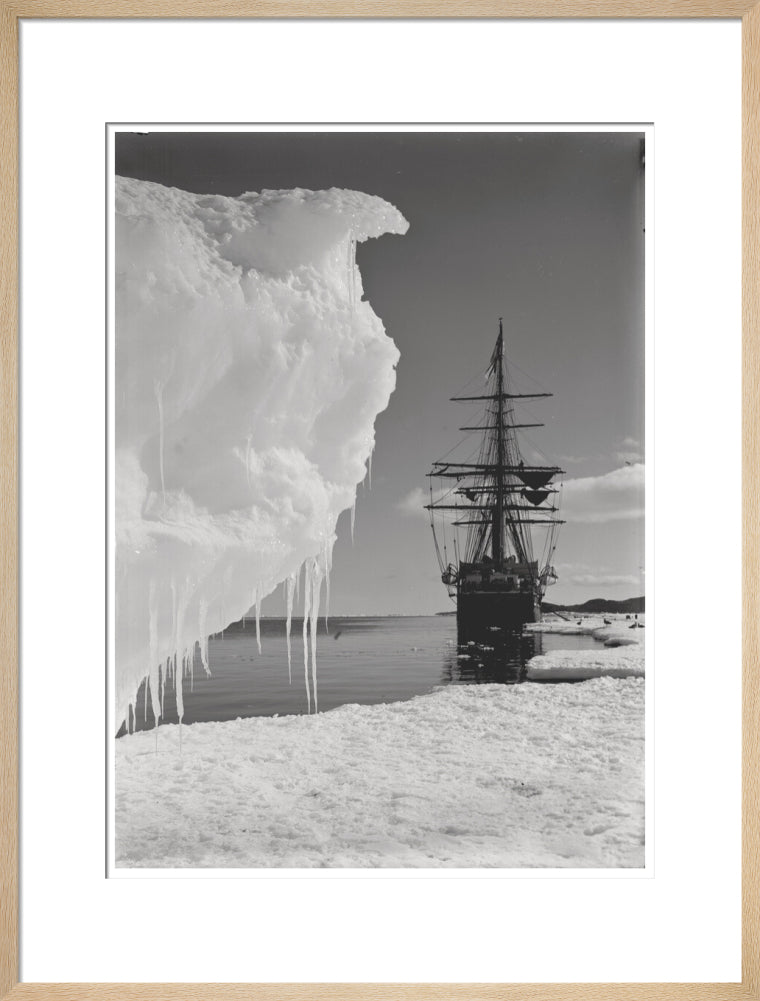 The Terra Nova and a berg at ice-foot - Art print