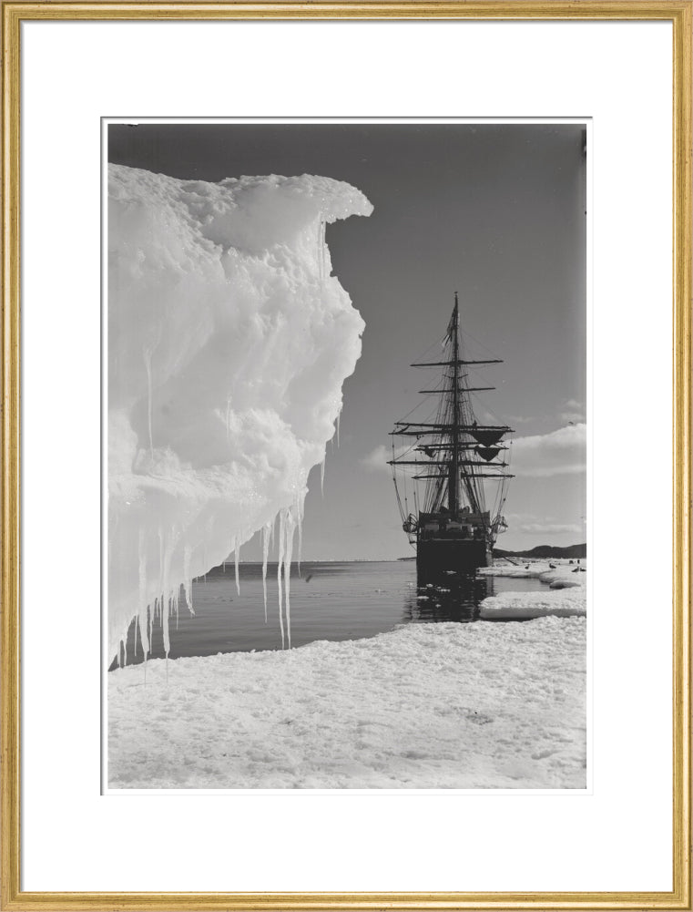 The Terra Nova and a berg at ice-foot - Art print