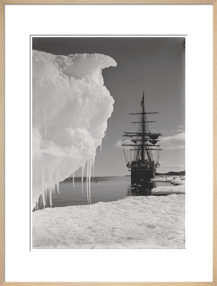 The Terra Nova and a berg at ice-foot - Art print