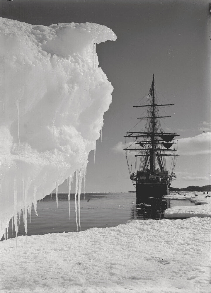 The Terra Nova and a berg at ice-foot - Art print