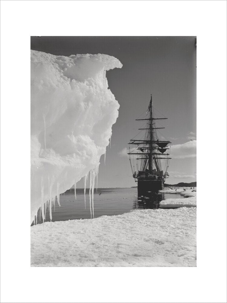 The Terra Nova and a berg at ice-foot - Art print