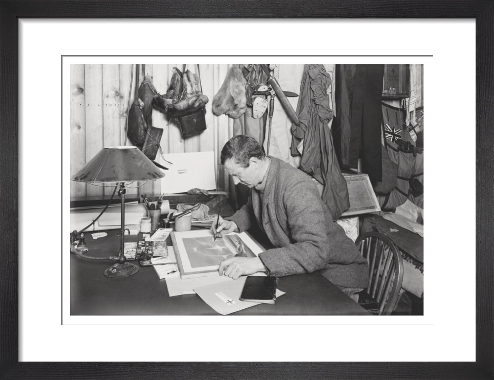 Dr E. A. Wilson working on a sketch - Art print