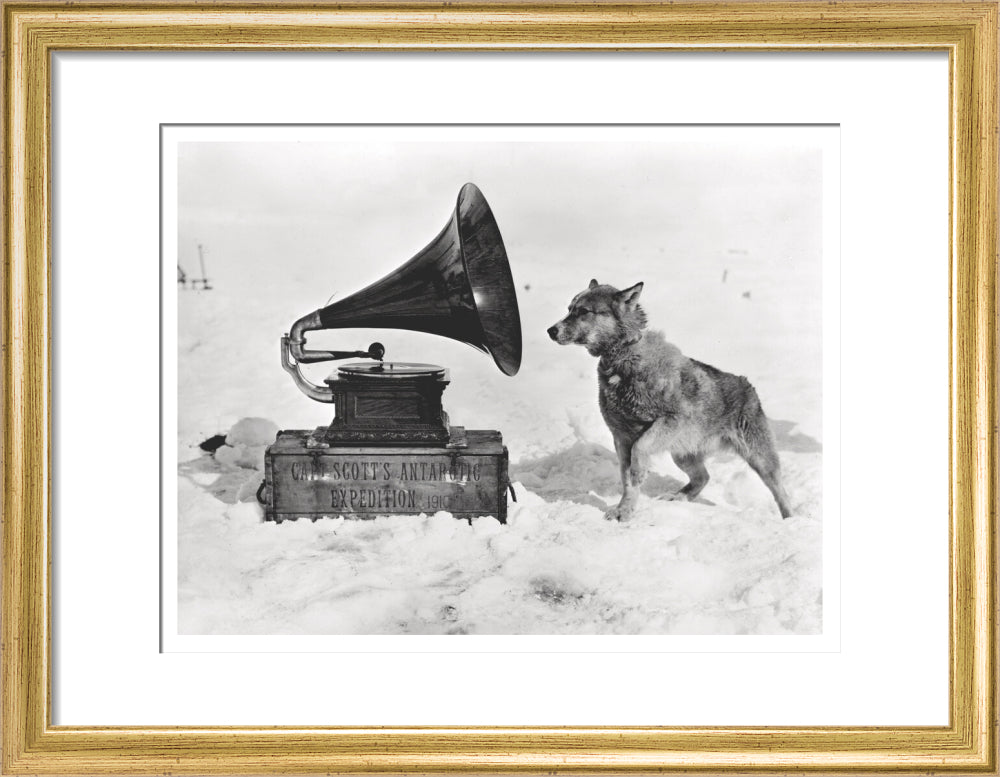 Chris and the Gramophone - Art print