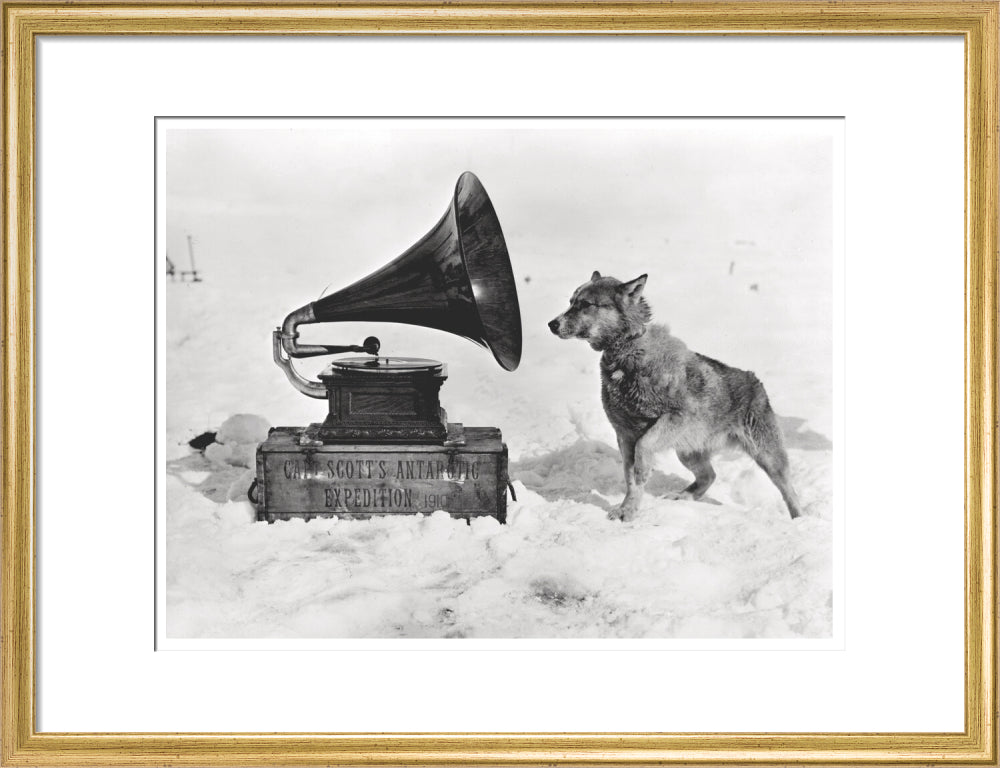 Chris and the Gramophone - Art print