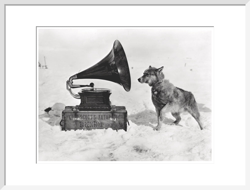 Chris and the Gramophone - Art print