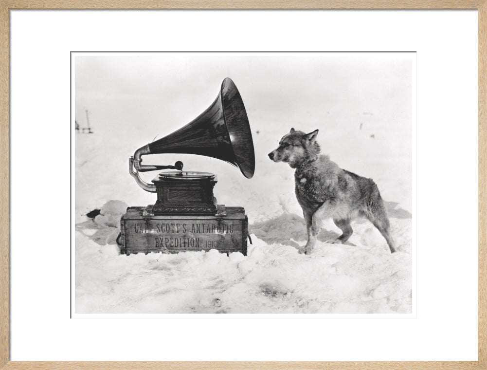Chris and the Gramophone - Art print
