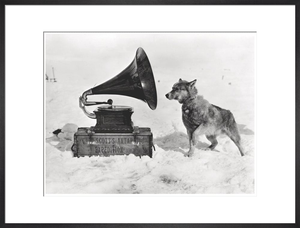 Chris and the Gramophone - Art print