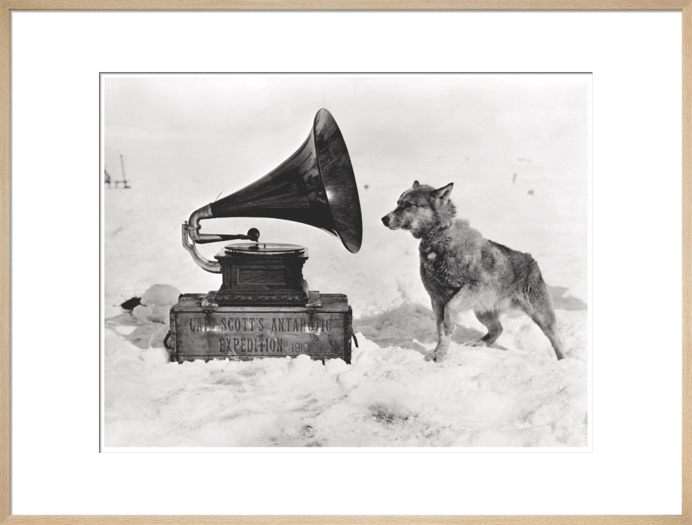 Chris and the Gramophone - Art print