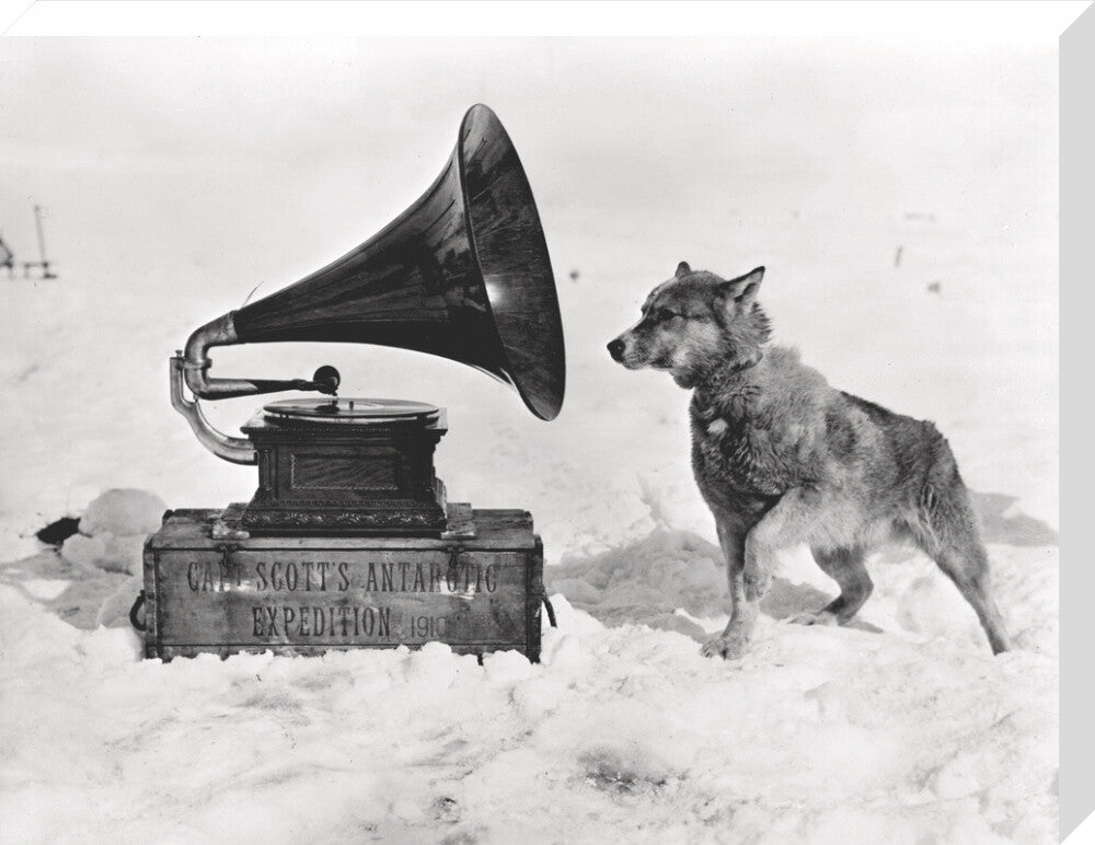 Chris and the Gramophone - Art print