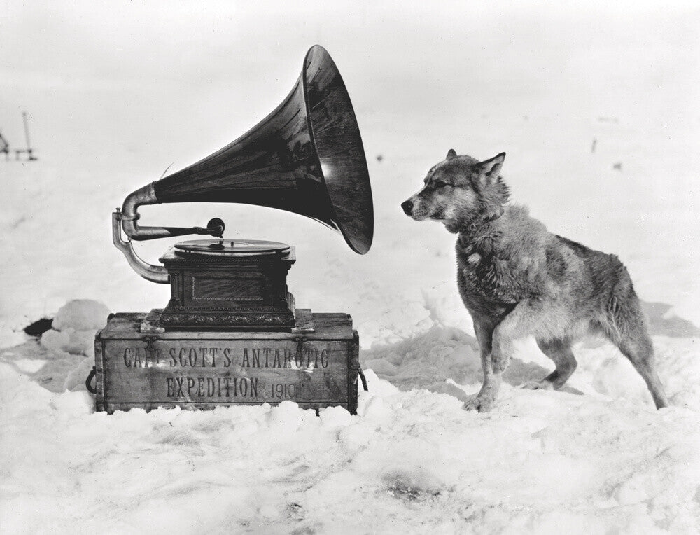 Chris and the Gramophone - Art print