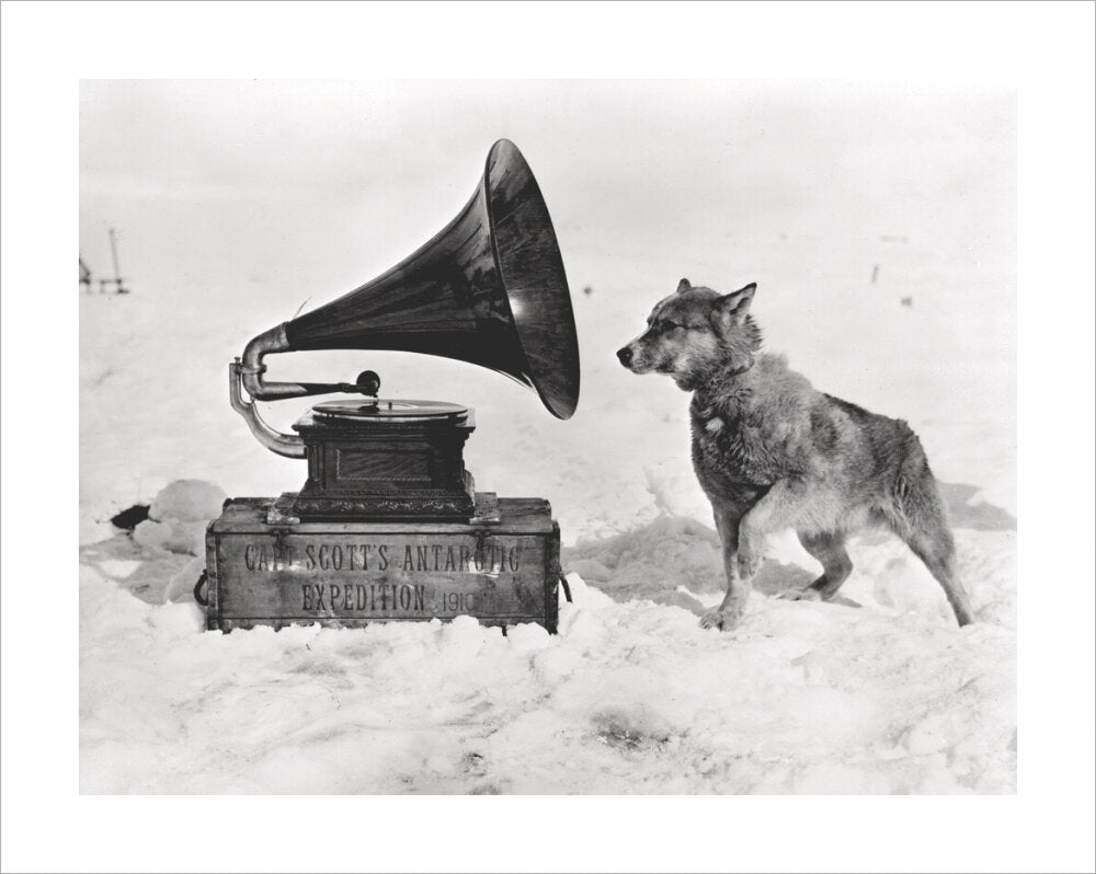 Chris and the Gramophone - Art print