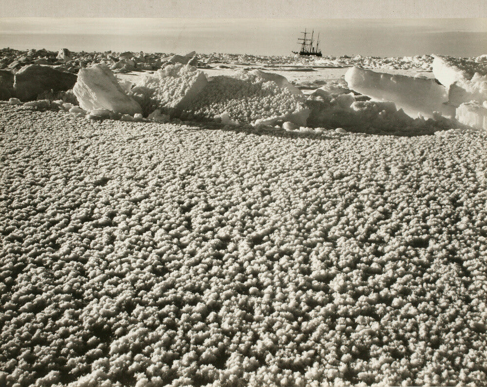 New leads covered with ice flowers in early spring