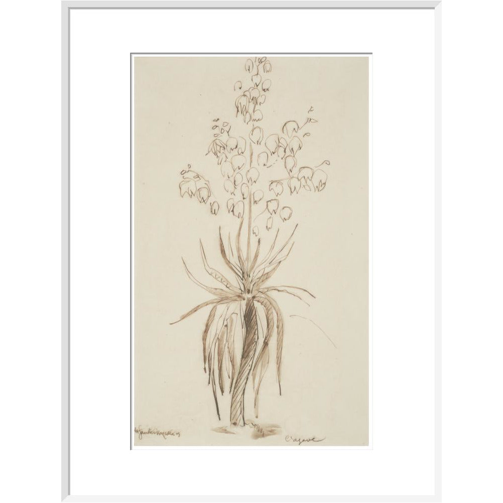 L'agave - Art print