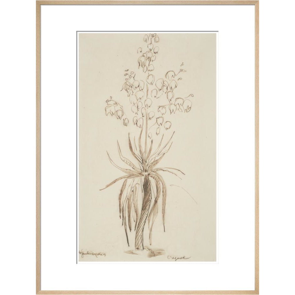 L'agave - Art print
