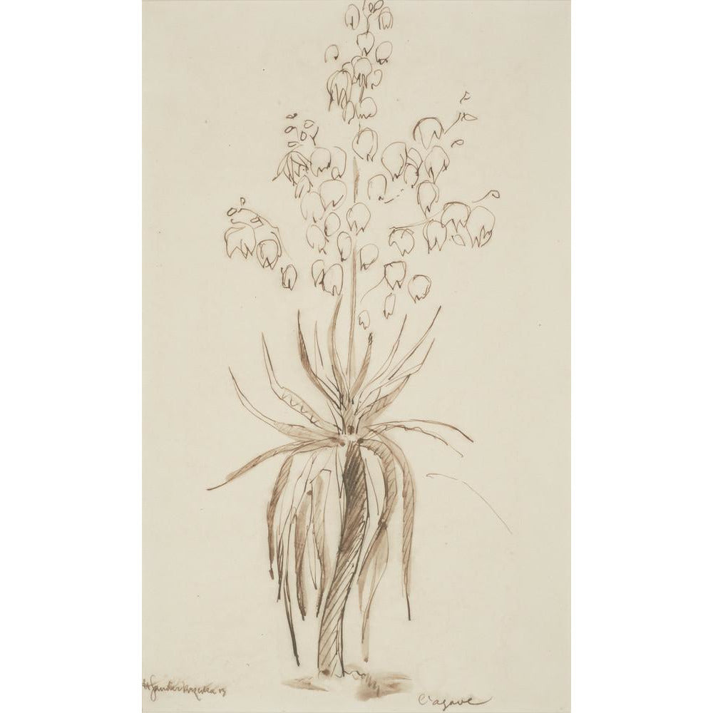 L'agave - Art print