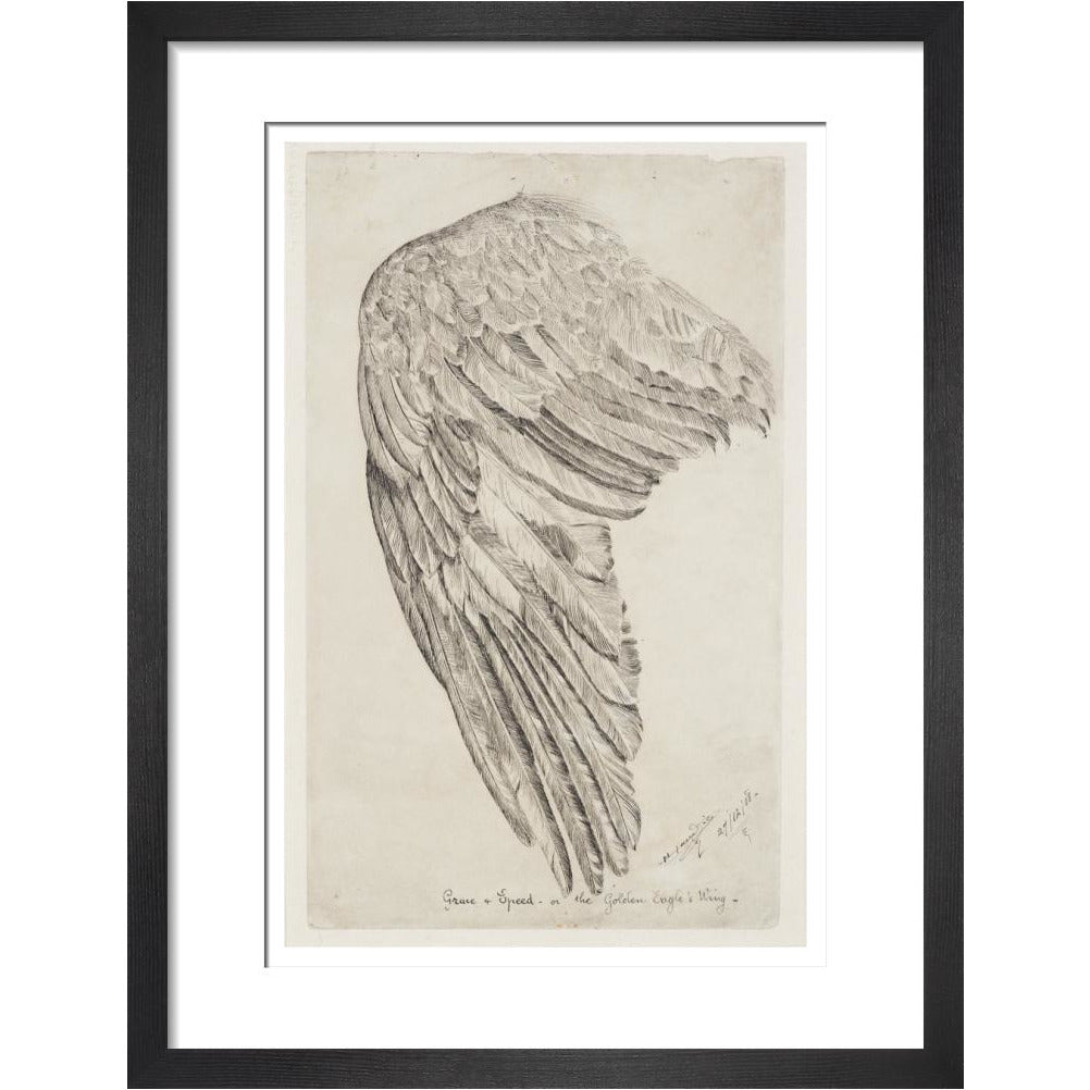 Grace and Speed, or The Golden Eagle's Wing - Art print