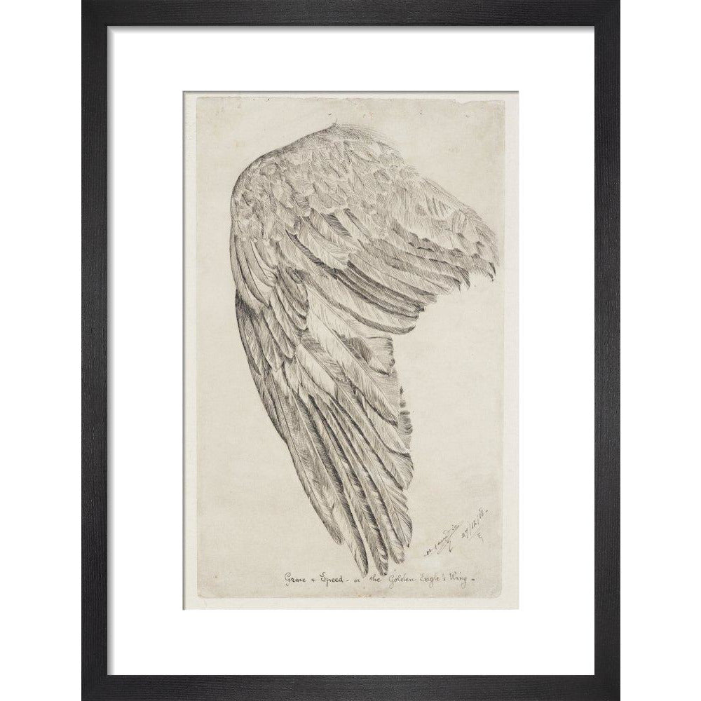 Grace and Speed, or The Golden Eagle's Wing - Art print