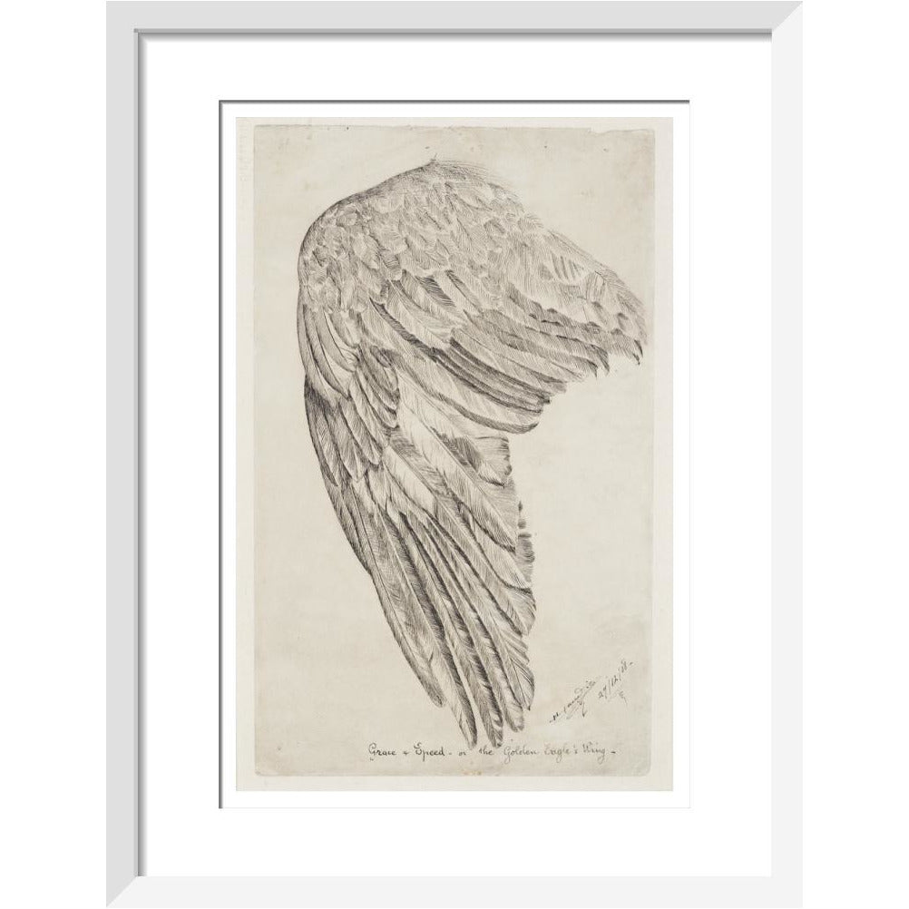Grace and Speed, or The Golden Eagle's Wing - Art print