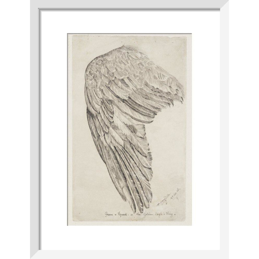 Grace and Speed, or The Golden Eagle's Wing - Art print