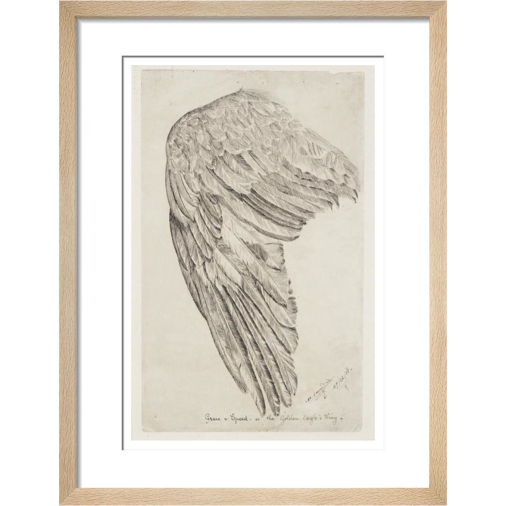 Grace and Speed, or The Golden Eagle's Wing - Art print