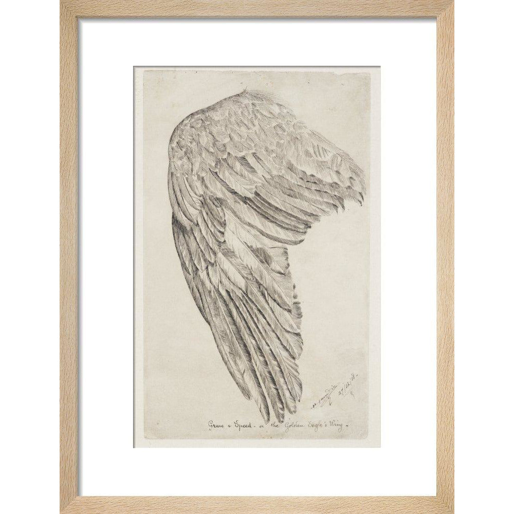 Grace and Speed, or The Golden Eagle's Wing - Art print