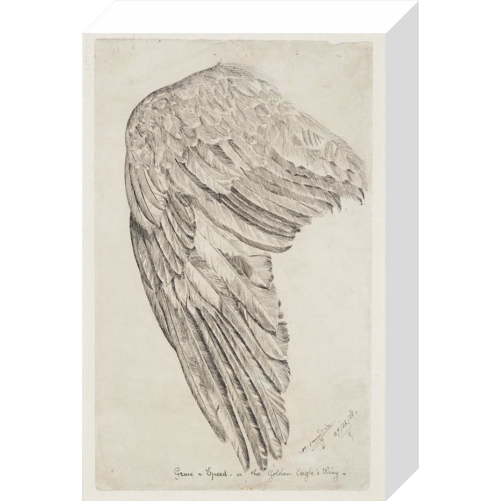 Grace and Speed, or The Golden Eagle's Wing - Art print