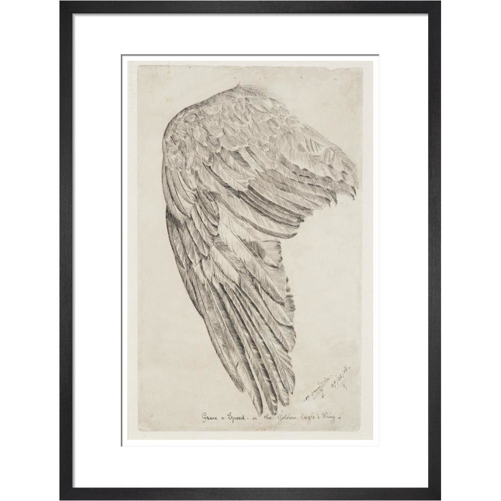 Grace and Speed, or The Golden Eagle's Wing - Art print