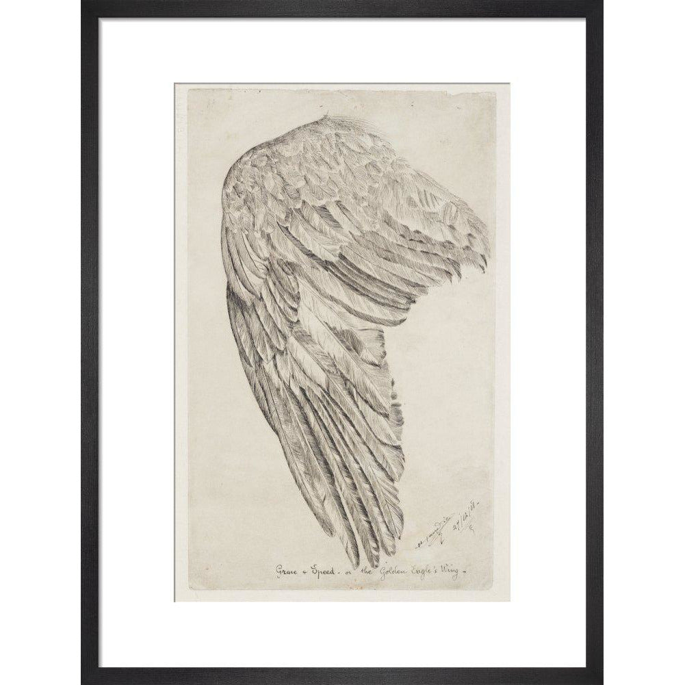 Grace and Speed, or The Golden Eagle's Wing - Art print