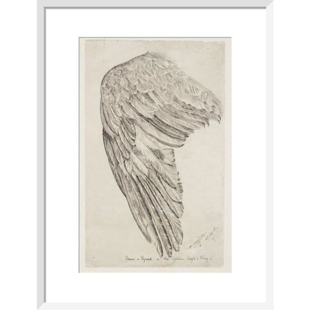 Grace and Speed, or The Golden Eagle's Wing - Art print