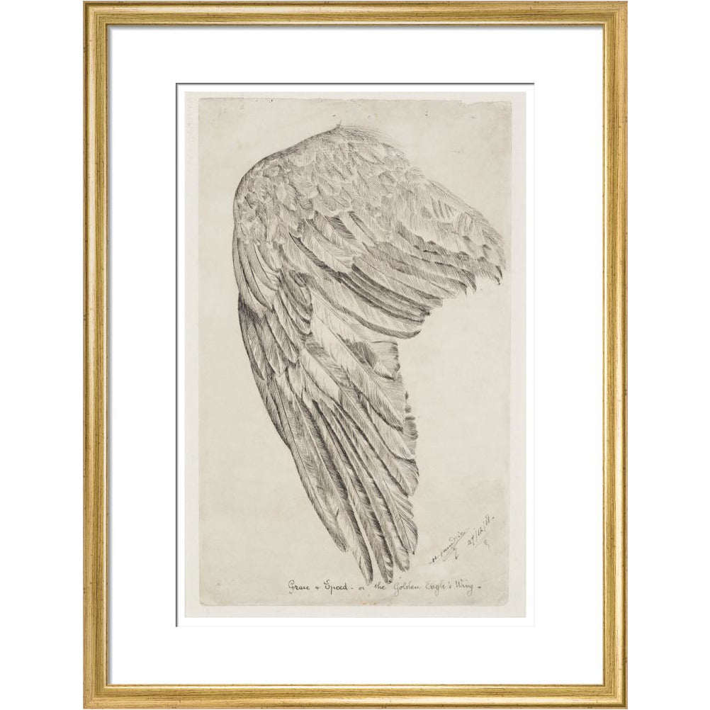 Grace and Speed, or The Golden Eagle's Wing - Art print