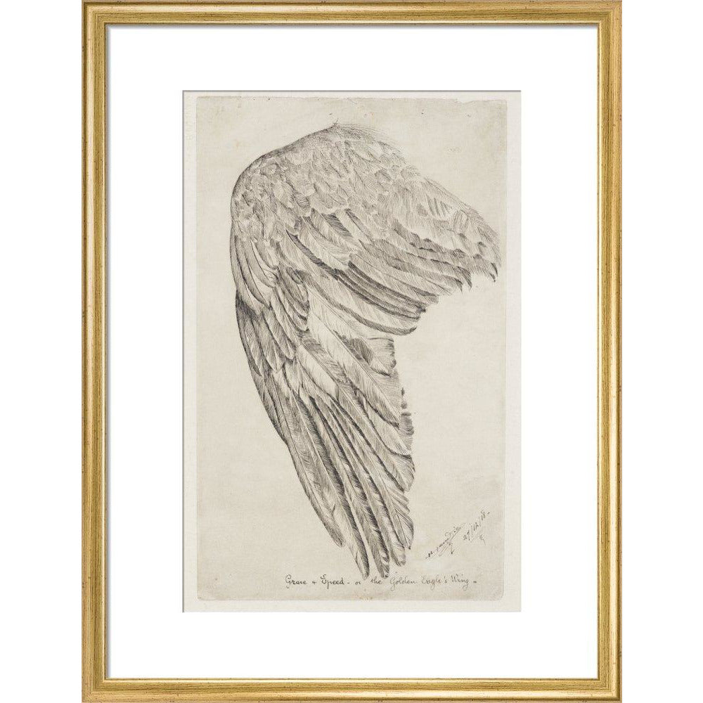 Grace and Speed, or The Golden Eagle's Wing - Art print