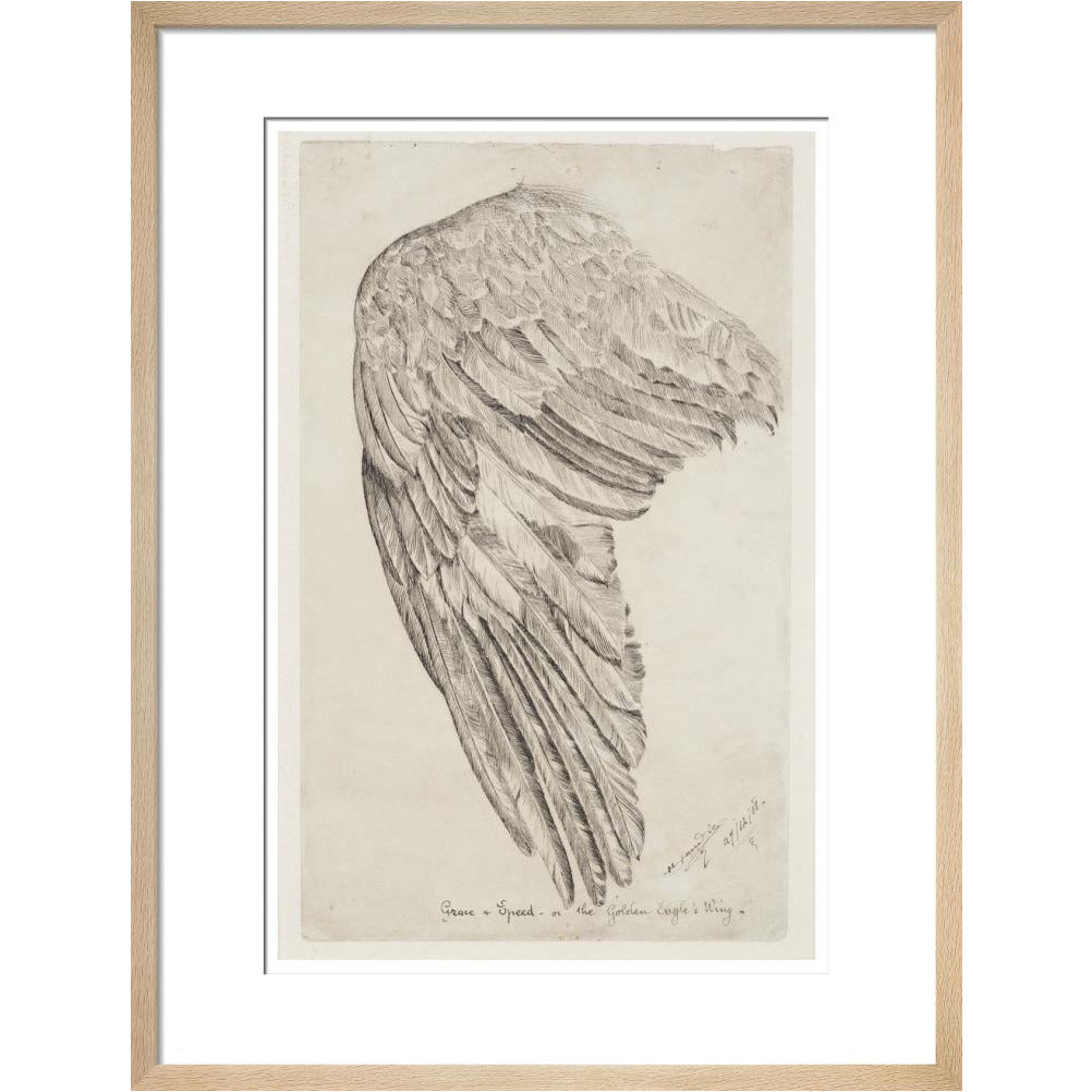 Grace and Speed, or The Golden Eagle's Wing - Art print