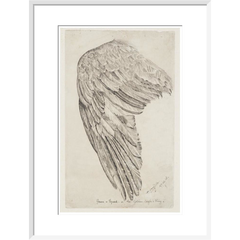 Grace and Speed, or The Golden Eagle's Wing - Art print