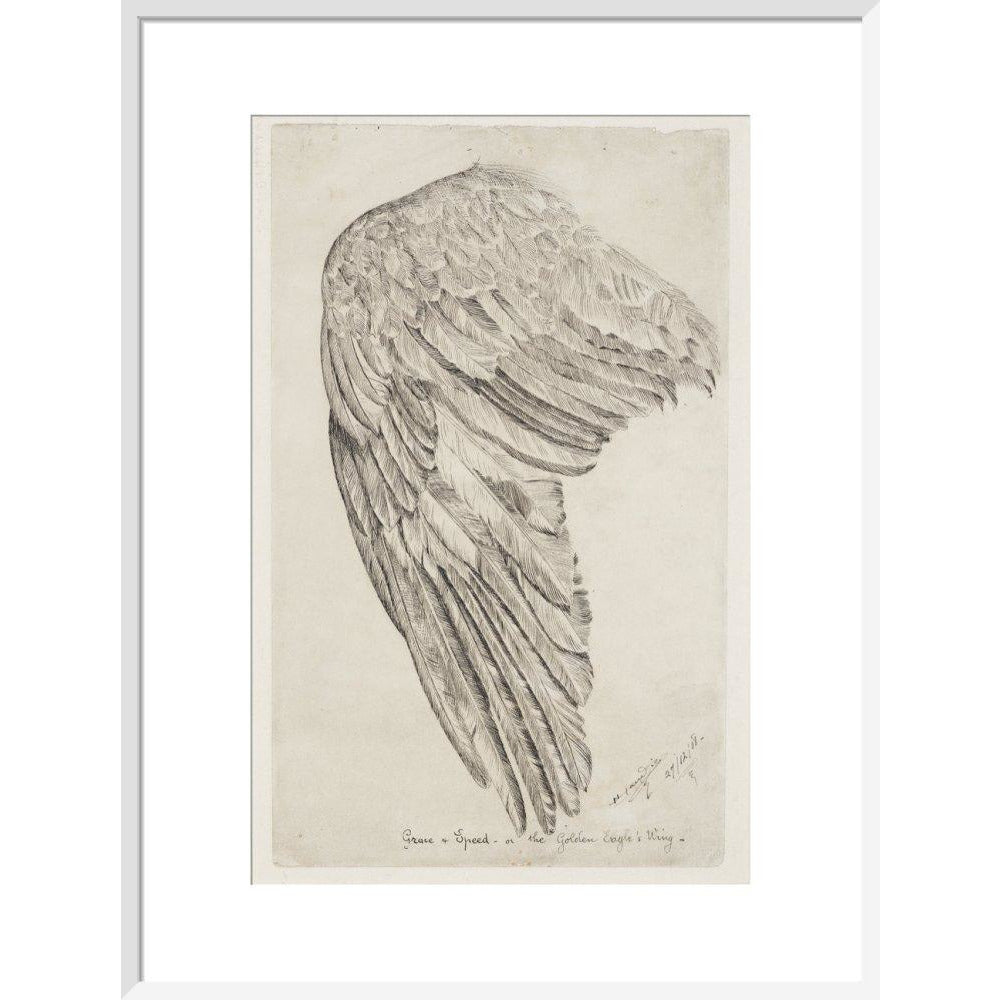 Grace and Speed, or The Golden Eagle's Wing - Art print