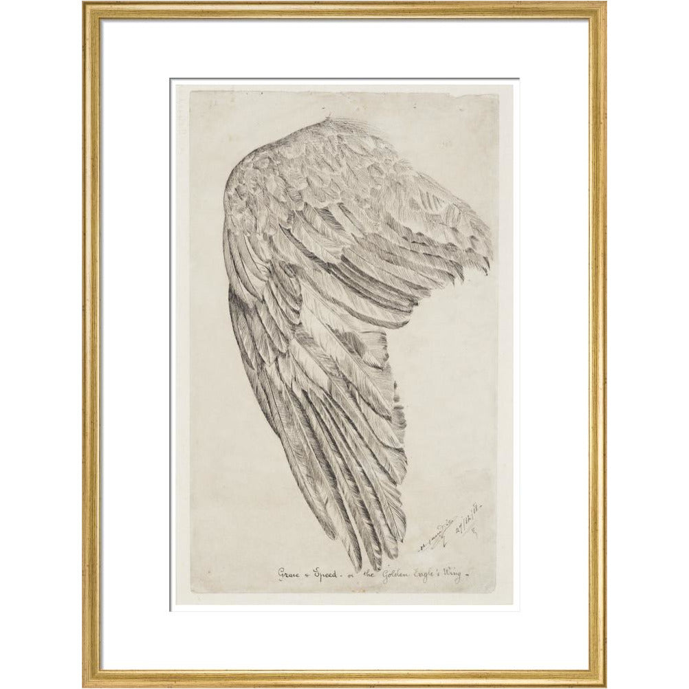 Grace and Speed, or The Golden Eagle's Wing - Art print