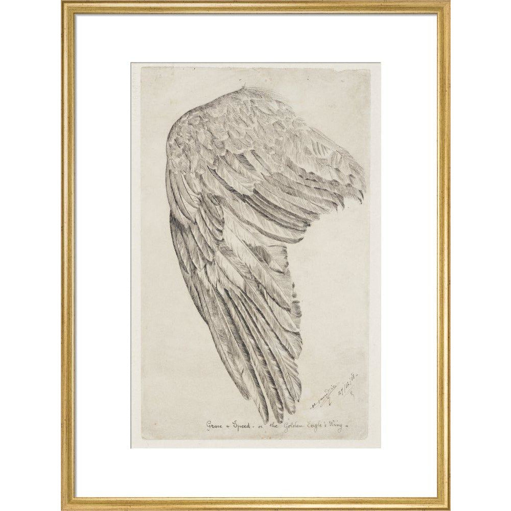 Grace and Speed, or The Golden Eagle's Wing - Art print