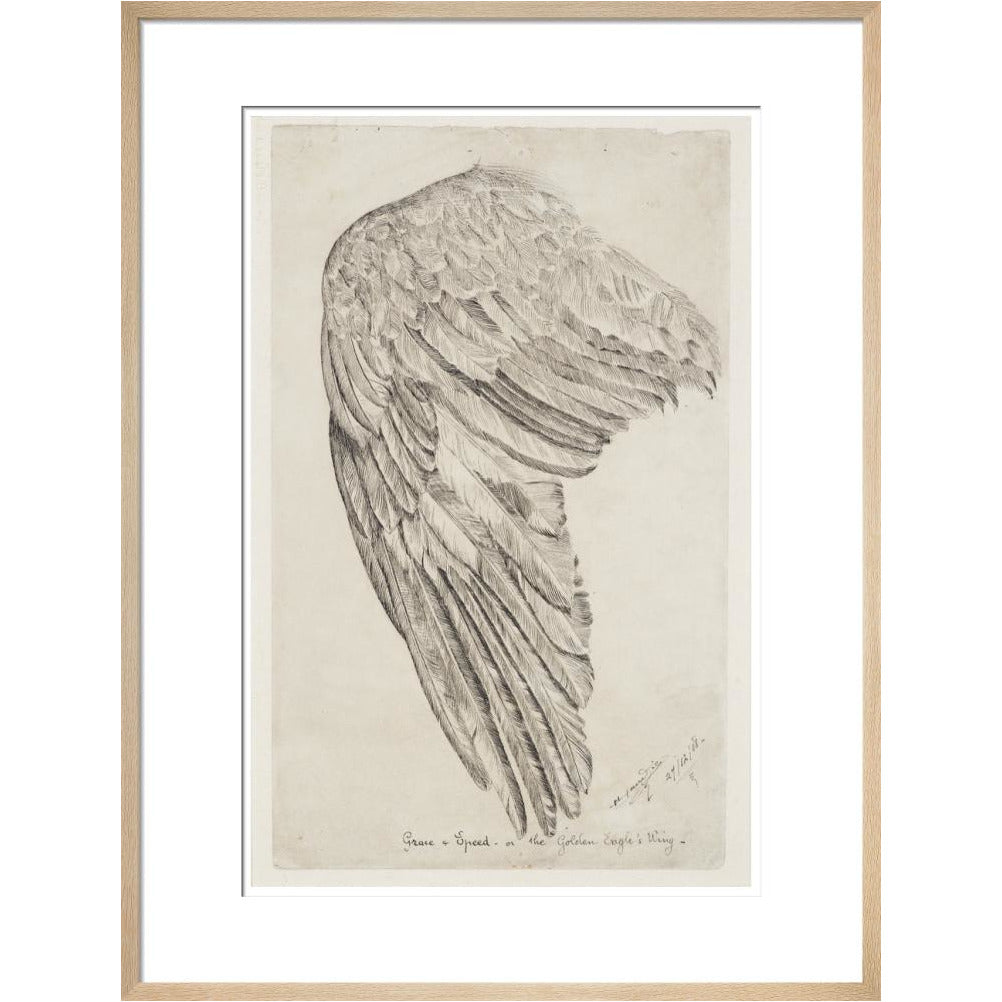 Grace and Speed, or The Golden Eagle's Wing - Art print