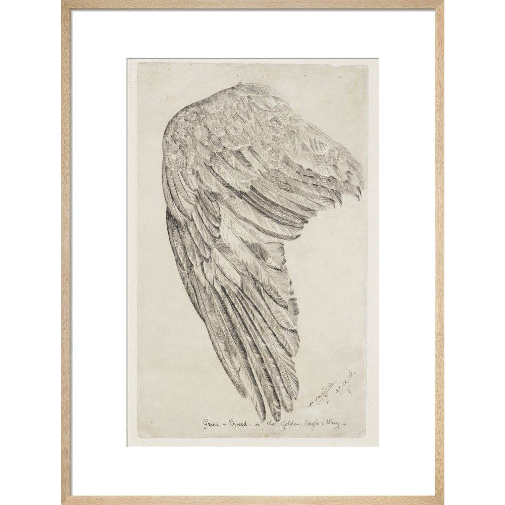 Grace and Speed, or The Golden Eagle's Wing - Art print