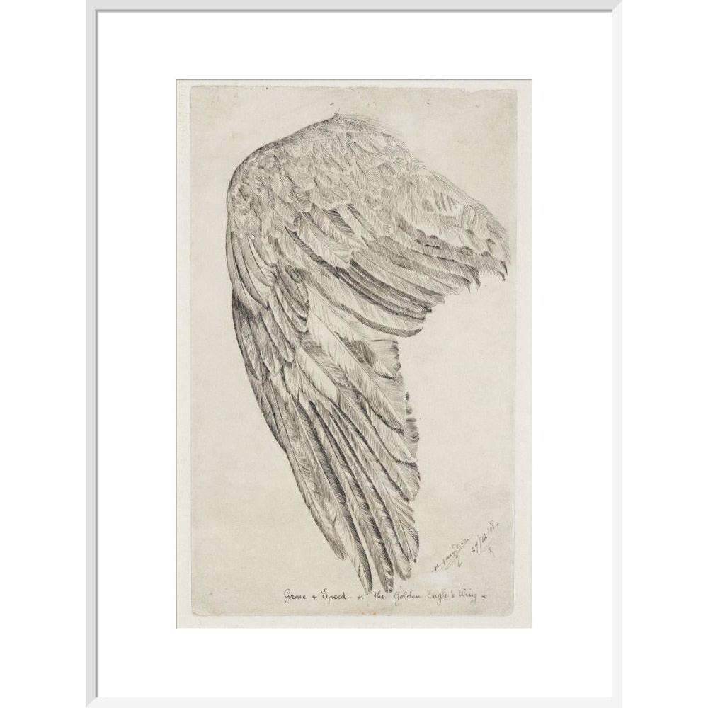 Grace and Speed, or The Golden Eagle's Wing - Art print