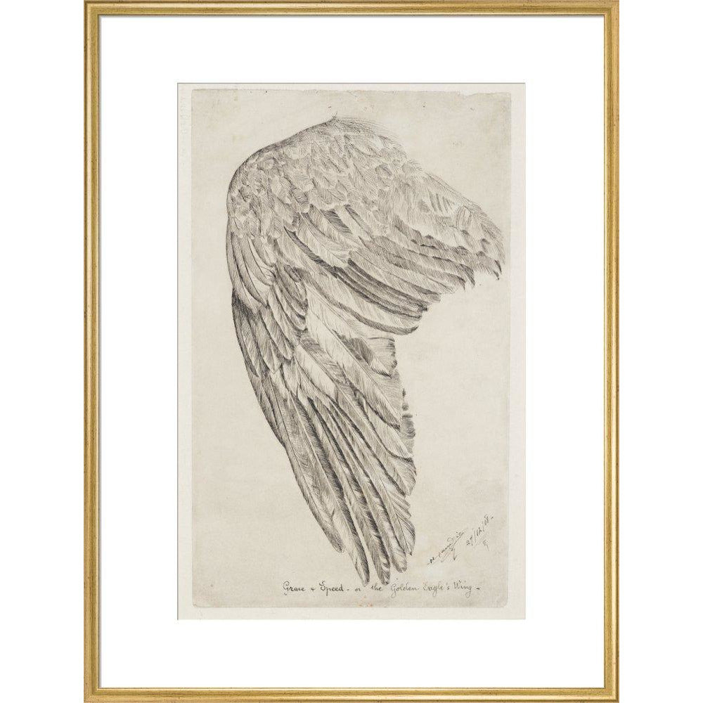 Grace and Speed, or The Golden Eagle's Wing - Art print