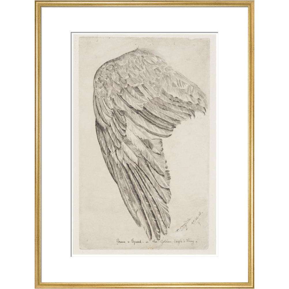 Grace and Speed, or The Golden Eagle's Wing - Art print