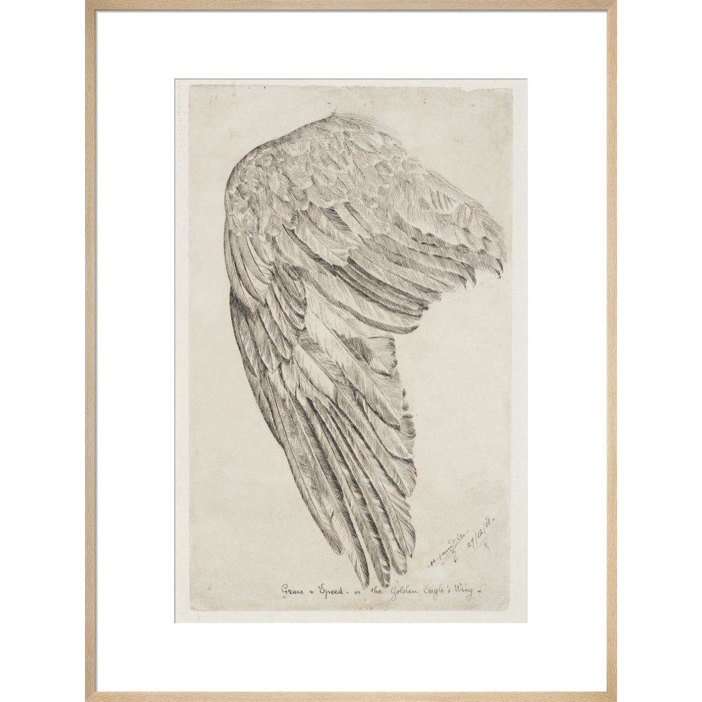 Grace and Speed, or The Golden Eagle's Wing - Art print