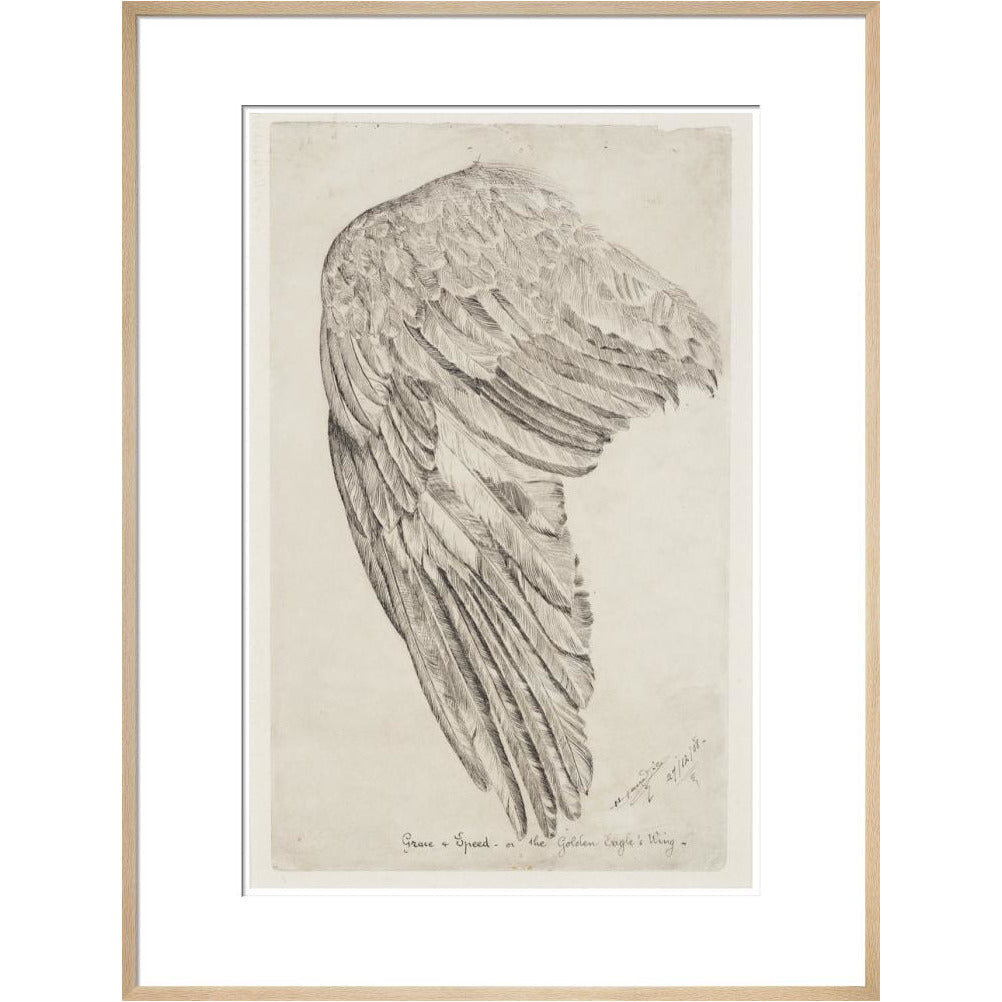 Grace and Speed, or The Golden Eagle's Wing - Art print