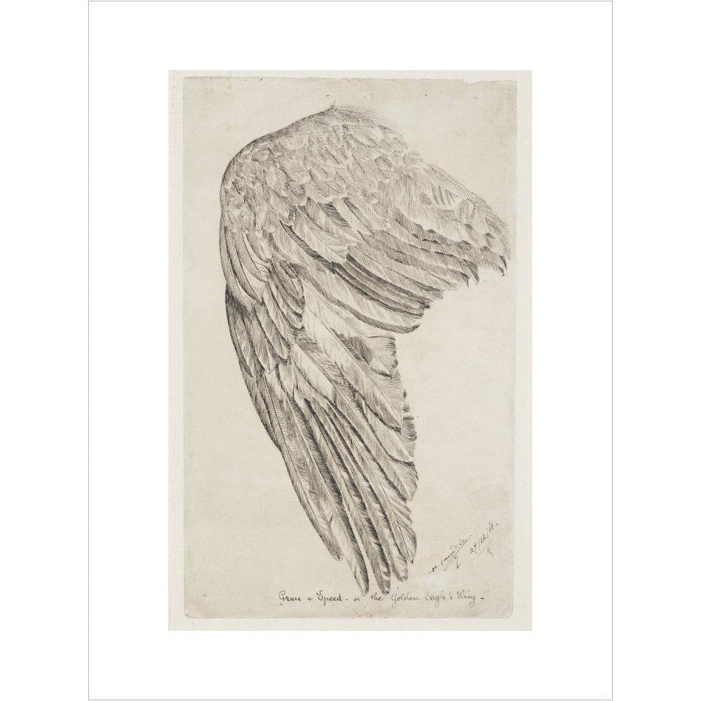 Grace and Speed, or The Golden Eagle's Wing - Art print