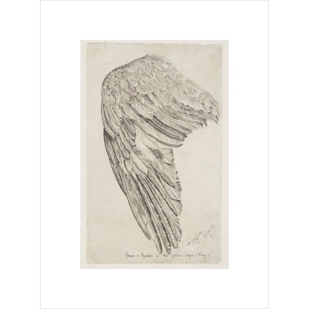 Grace and Speed, or The Golden Eagle's Wing - Art print
