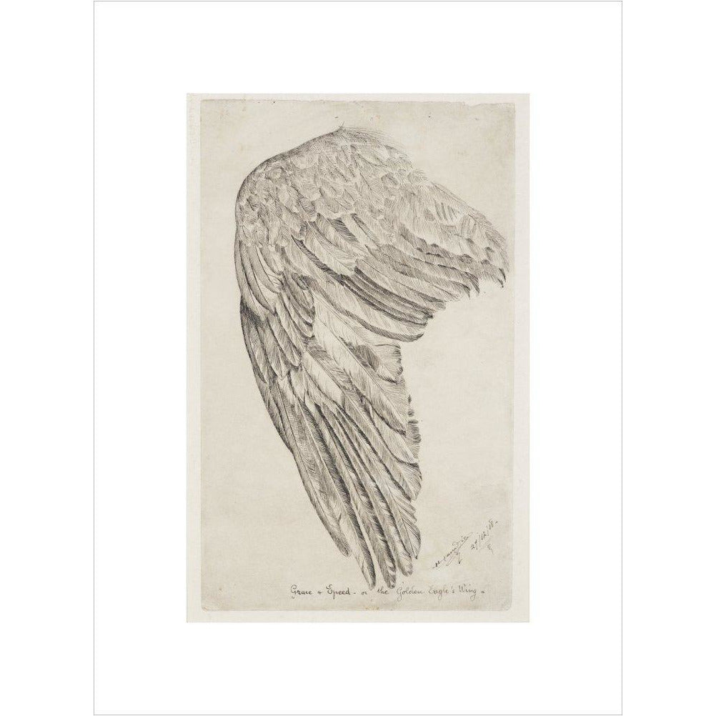 Grace and Speed, or The Golden Eagle's Wing - Art print