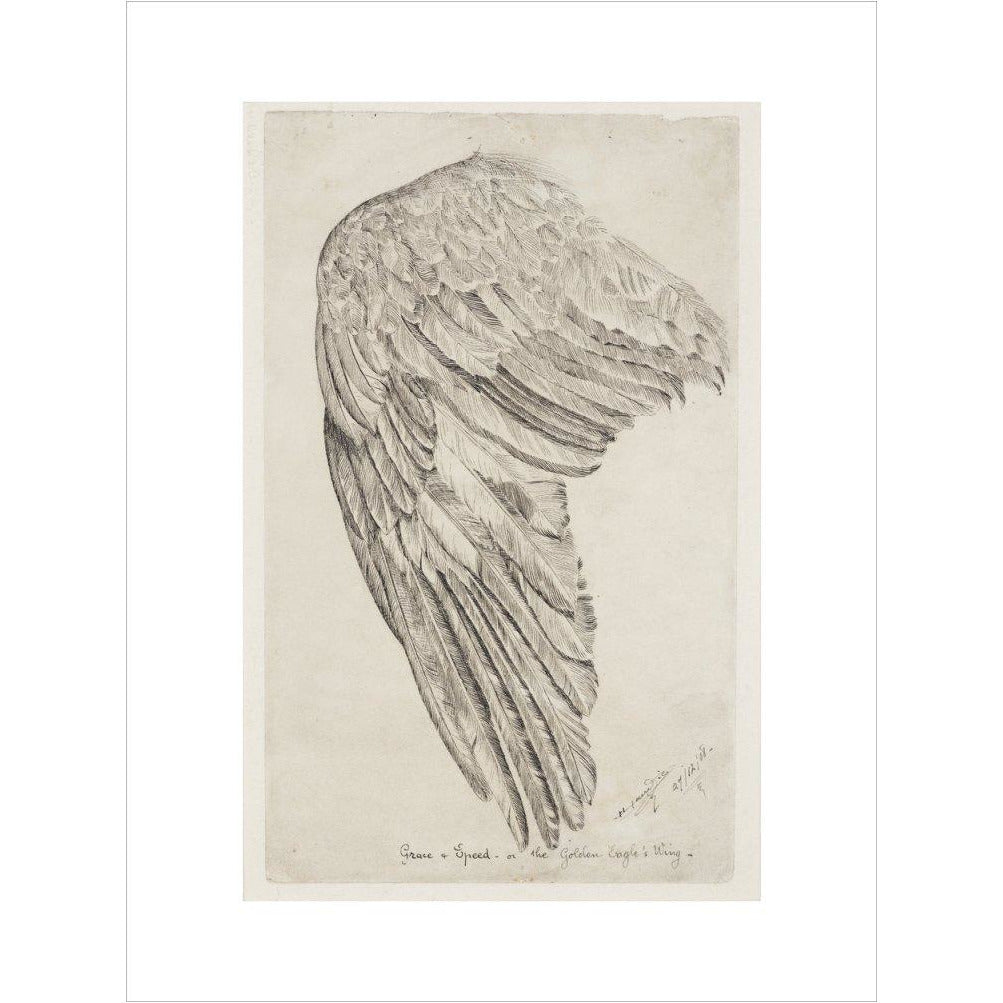Grace and Speed, or The Golden Eagle's Wing - Art print
