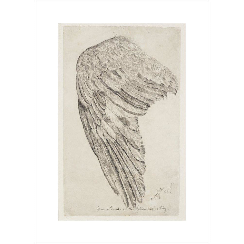 Grace and Speed, or The Golden Eagle's Wing - Art print