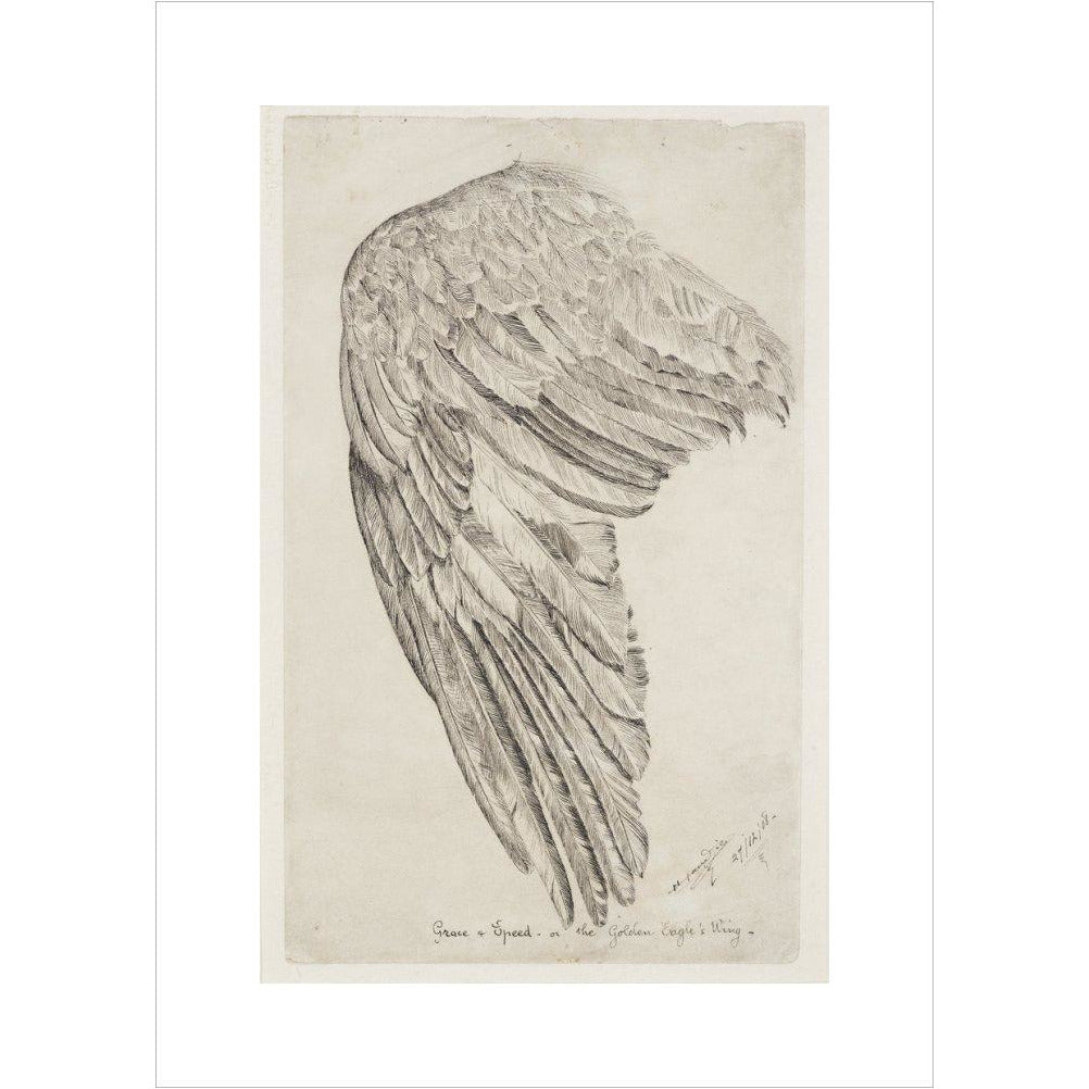 Grace and Speed, or The Golden Eagle's Wing - Art print